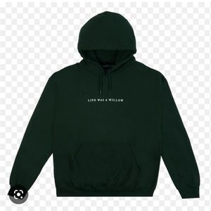Taylor Swift life was a willow hoodie